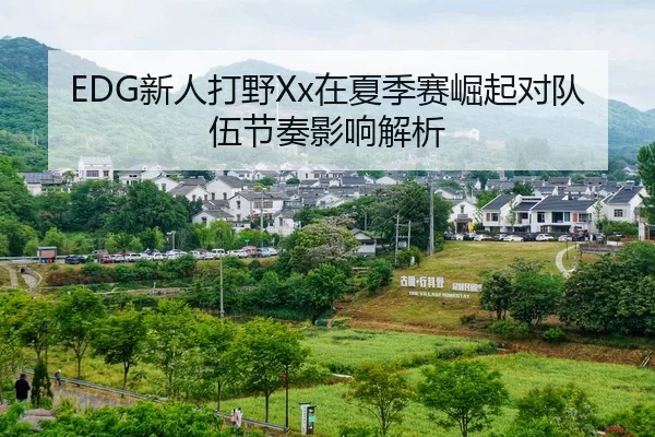 EDG新人打野Xx在夏季赛崛起对队伍节奏影响解析